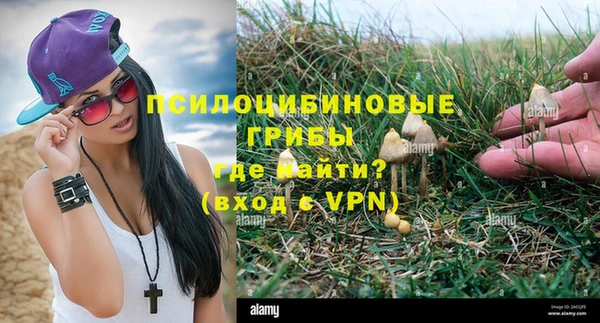 каннабис Заволжск