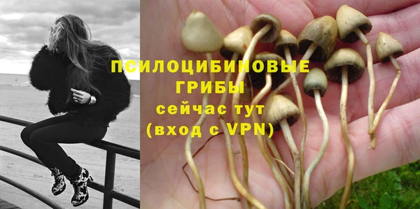 соль курить ск Заводоуковск
