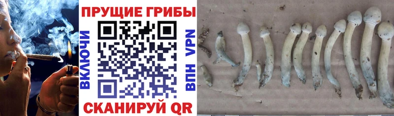 Галлюциногенные грибы прущие грибы  Каменск-Шахтинский 