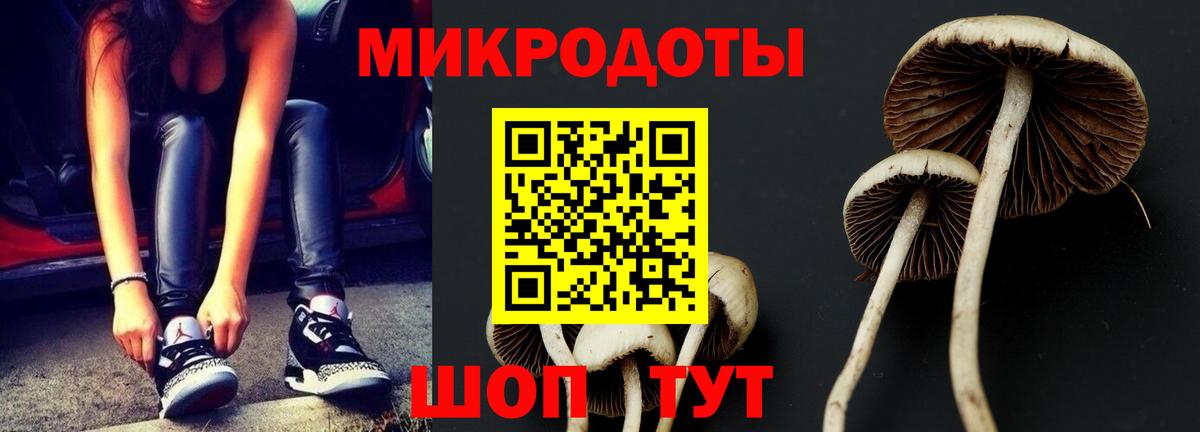 Галлюциногенные грибы Psilocybe  Вход с VPN  Псилоцибиновые грибы мухоморы  Каменск-Шахтинский 