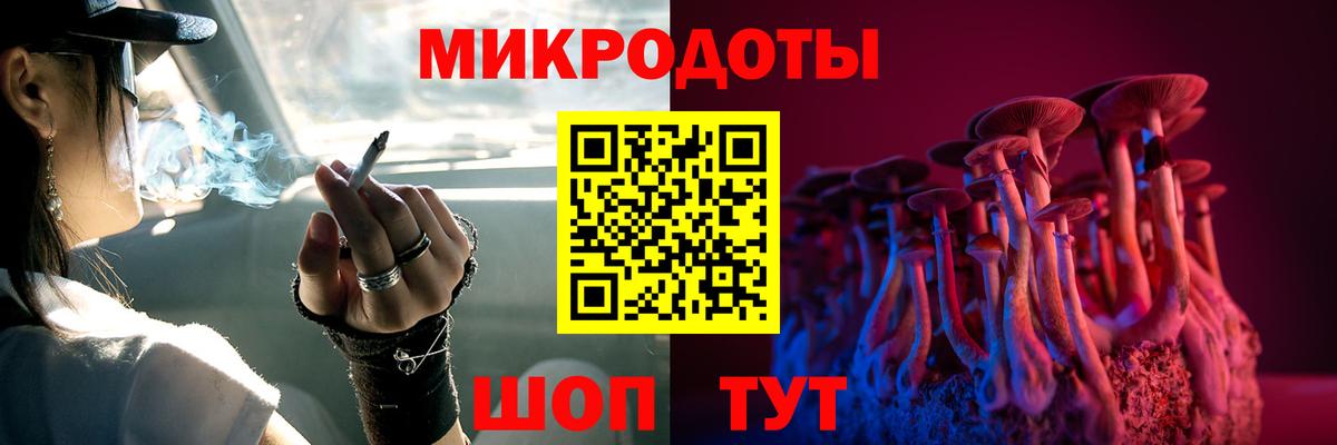 Галлюциногенные грибы Cubensis Каменск-Шахтинский